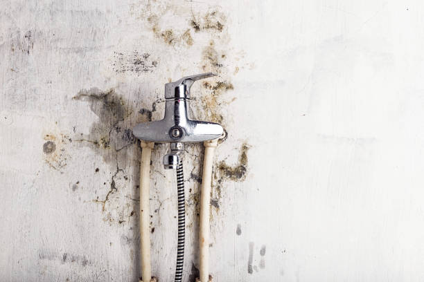 Best Water Damage Restoration  in Moreland, ID