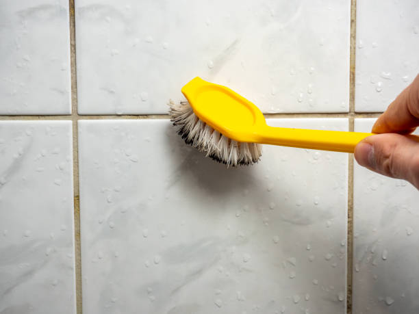 Best Toxic Mold Removal  in Moreland, ID