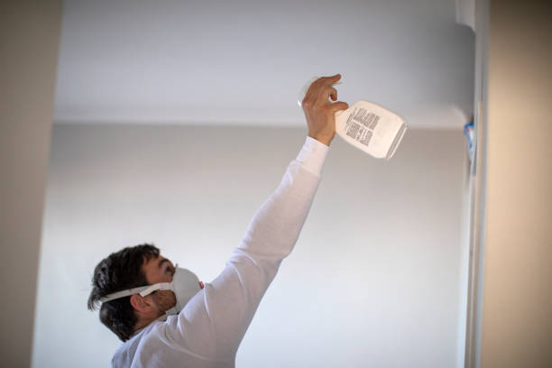 Best Crawl Space Mold Removal  in Moreland, ID