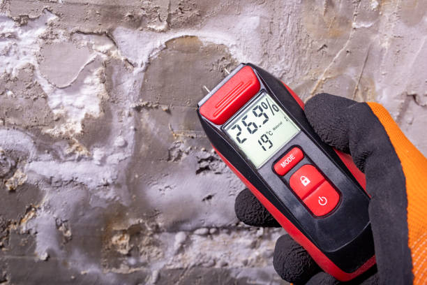 Trusted Moreland, ID Mold Removal Experts